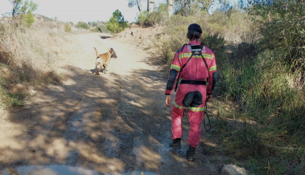 SAR Team K9 Busca Desaparecidos